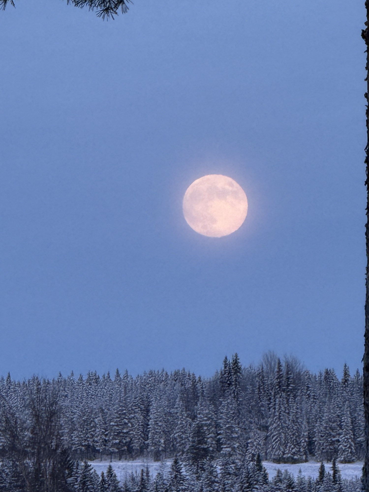 Life force activation - Fullmåne total lunar eclipse 🌕