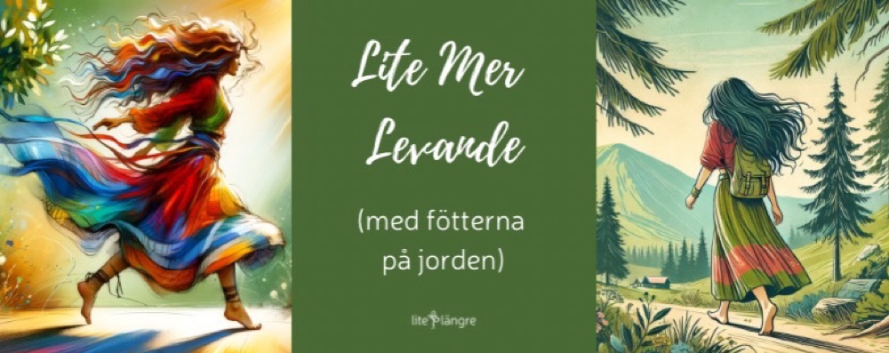 Lite Mer Levande 3.0