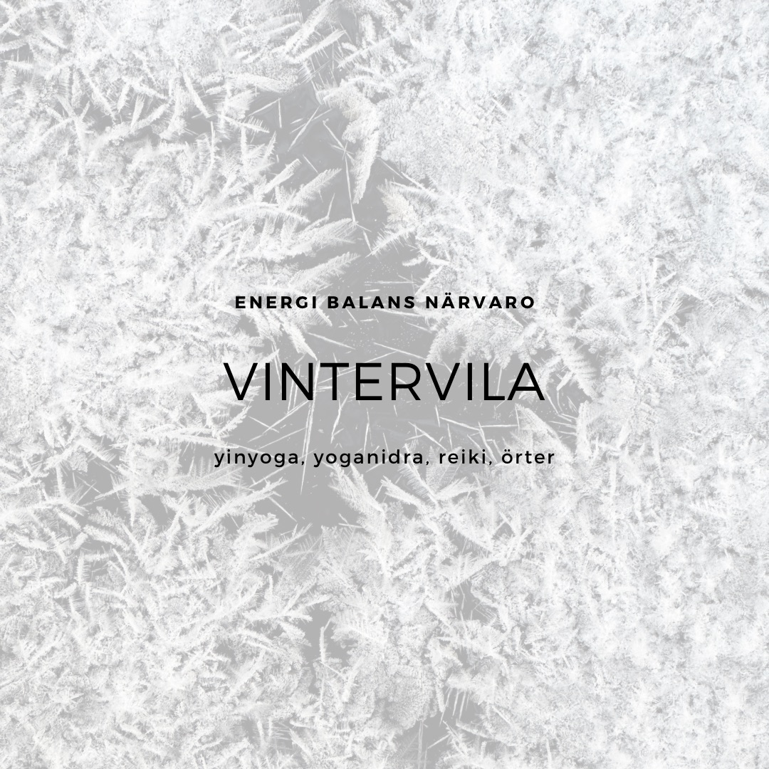 VinterVila