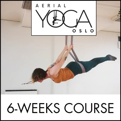 Aerial Yoga Level 1 (6-weeks course)