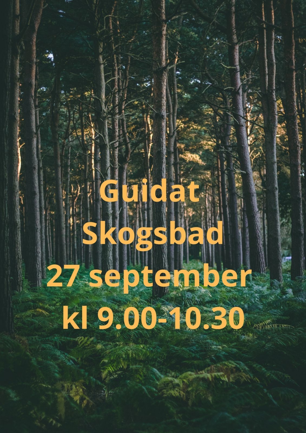 Skogsbada i Åres höstskrud