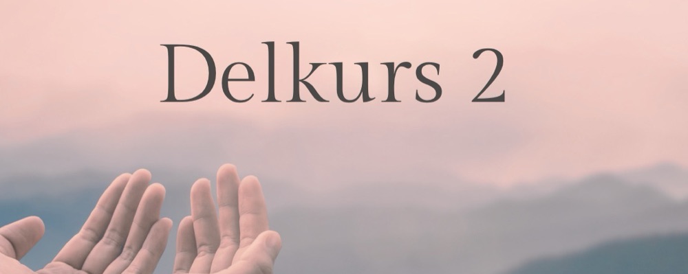 Delkurs 2 Mediumutbildning