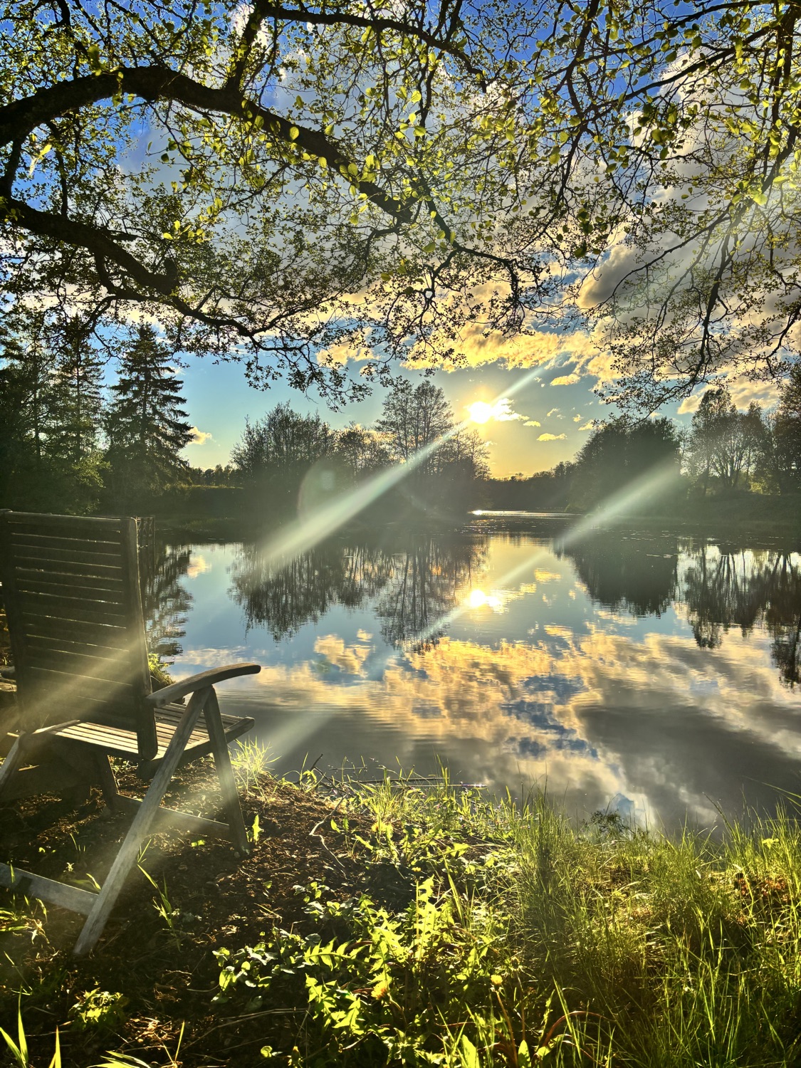 Holistisk livscoachning