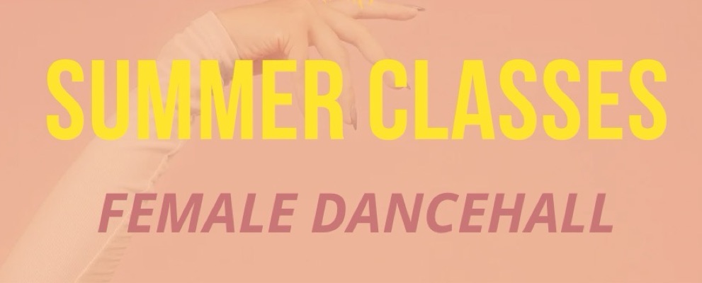 Reconnect summer classes beginner