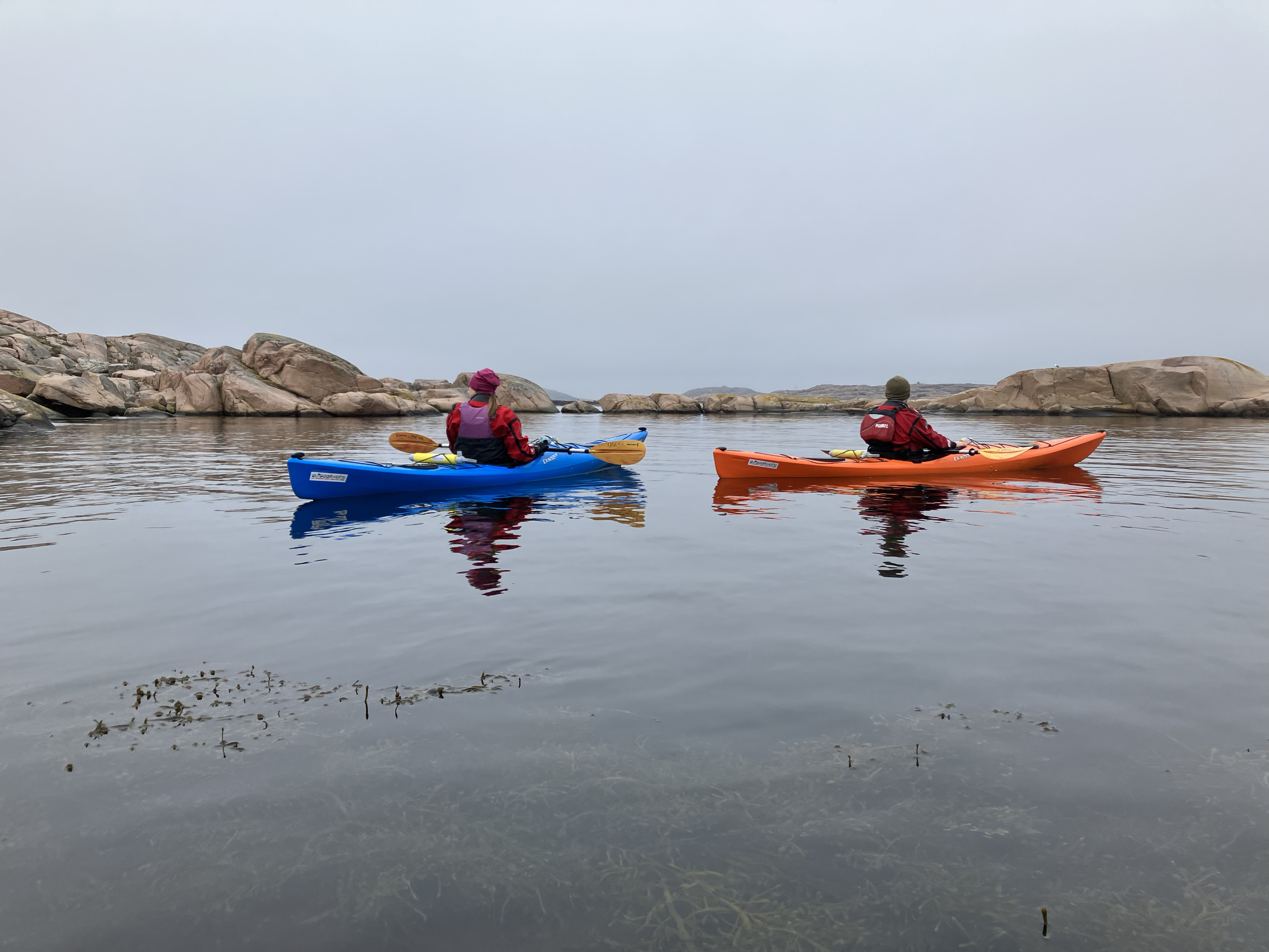 Vinterpaddling i Kornöarkipelagen