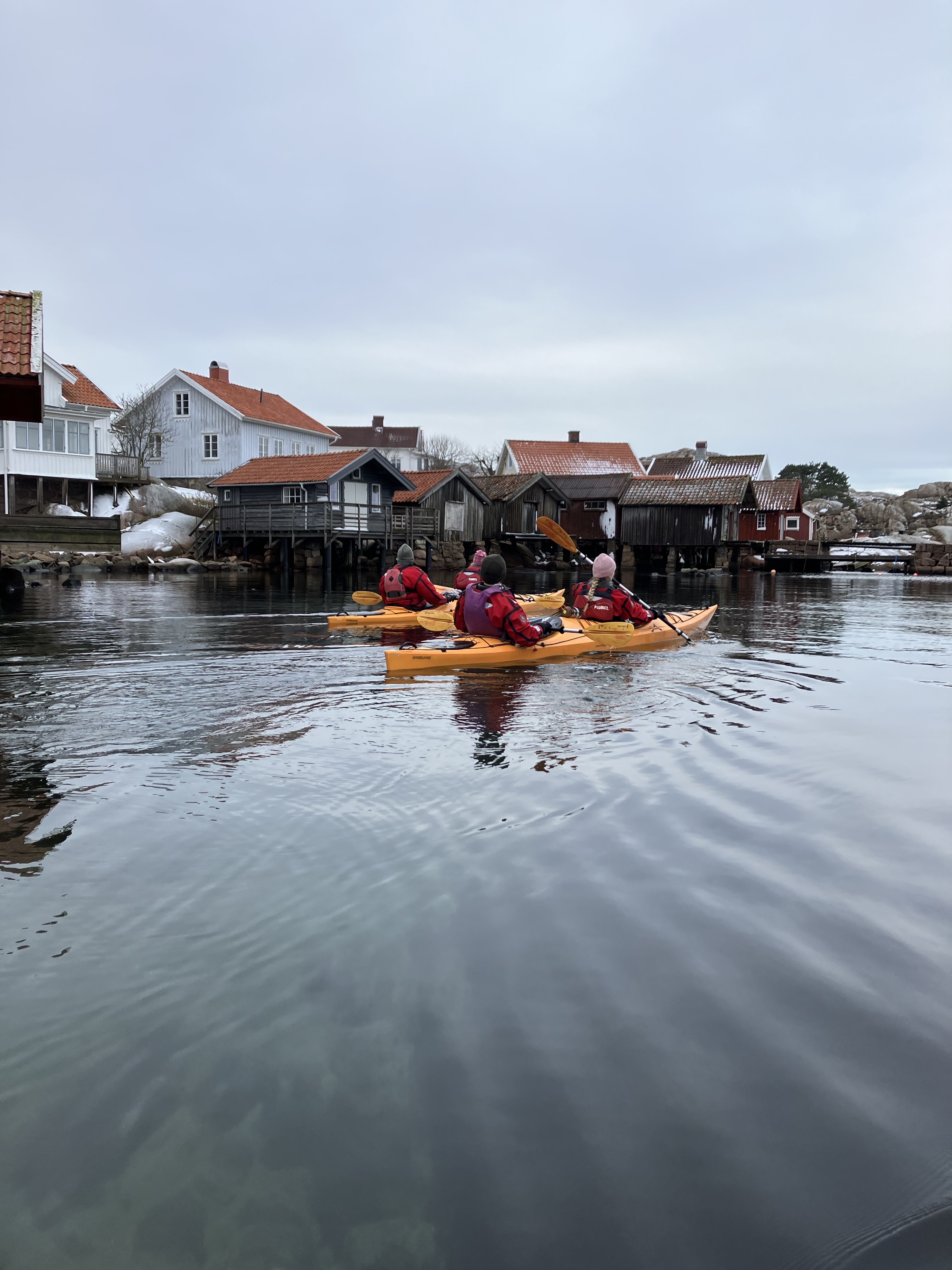 Vinterpaddling i Kornöarkipelagen