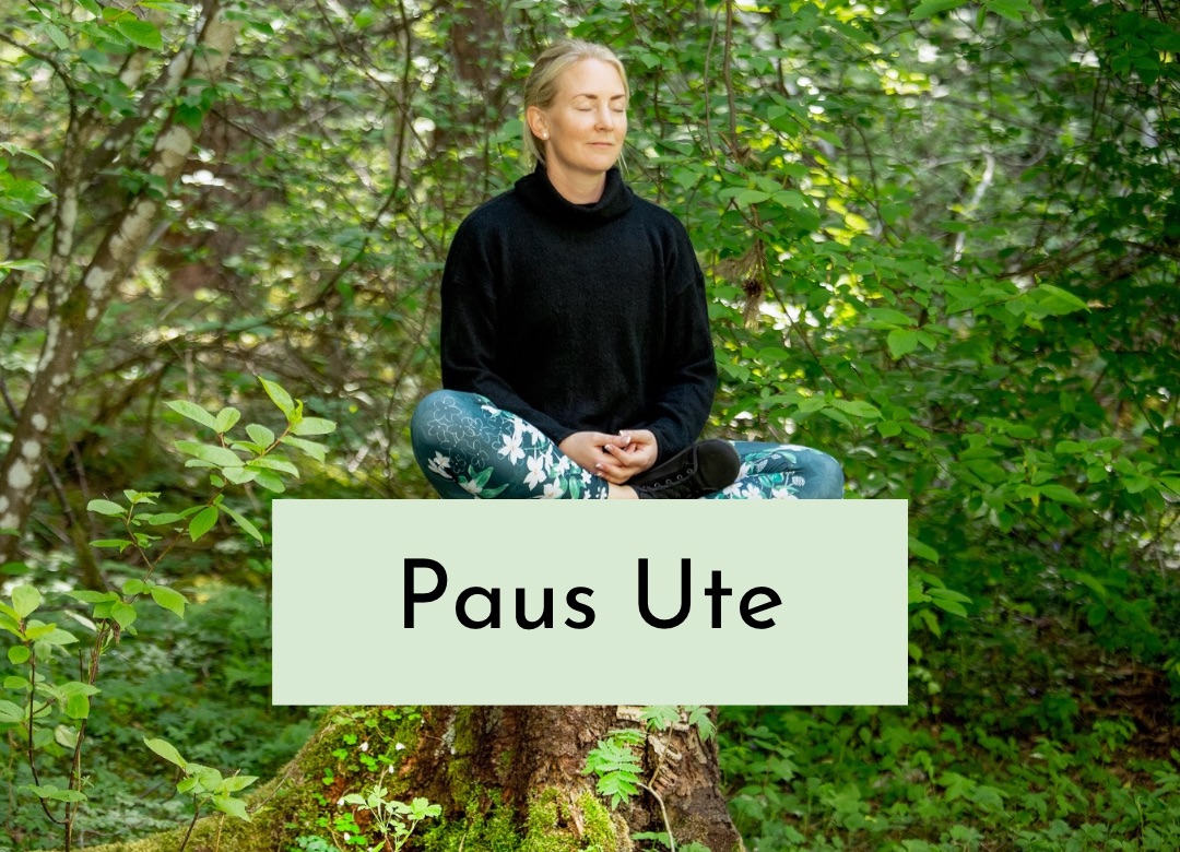 Paus Ute