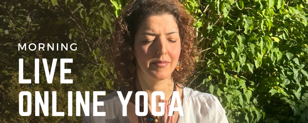 Morning Vinyasa Flow Live Online