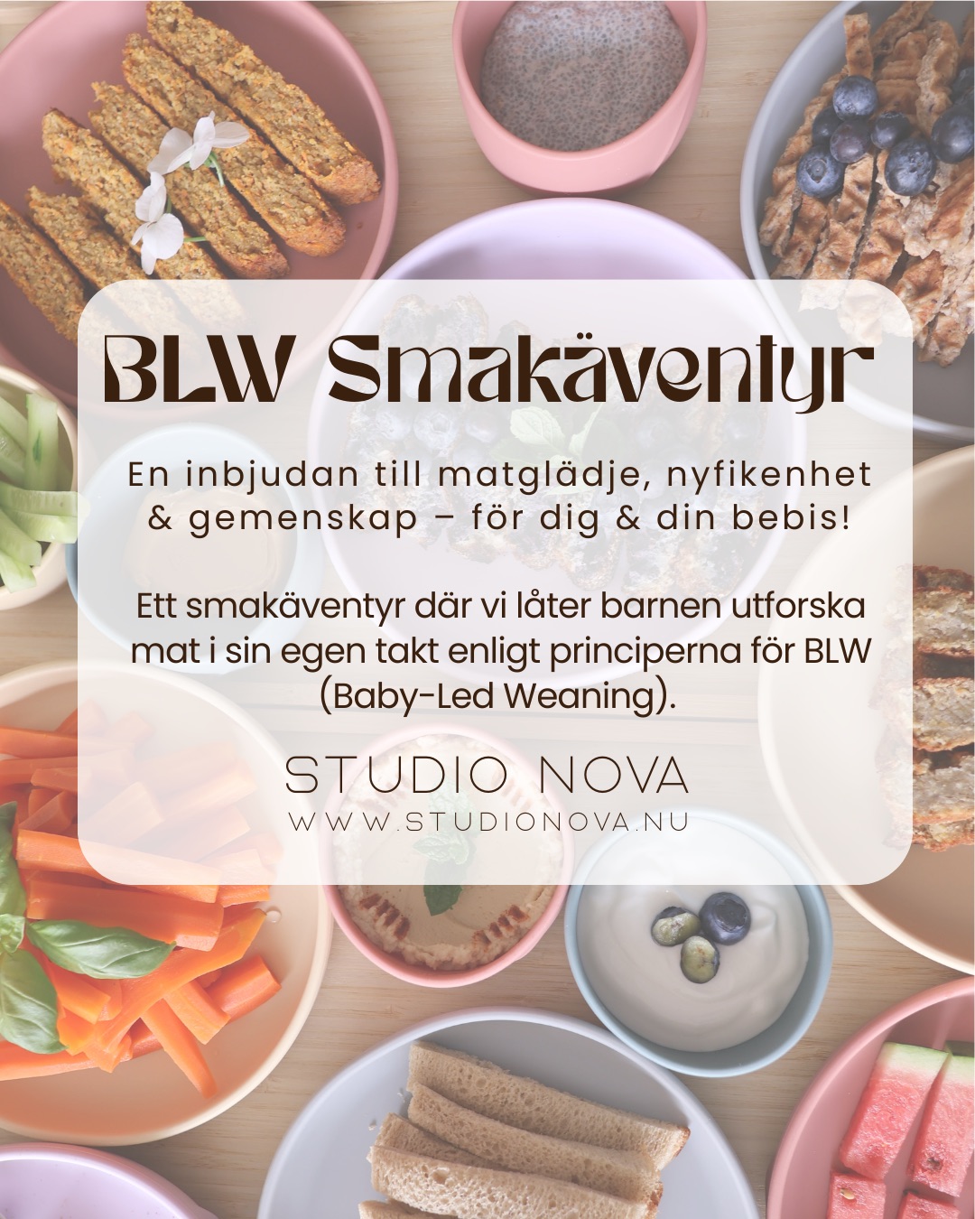 Smakäventyr BLW