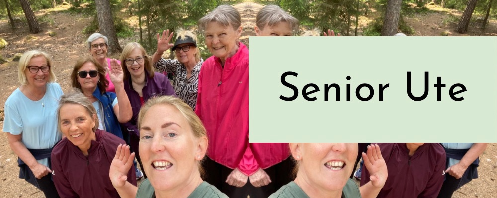 Senior Ute
