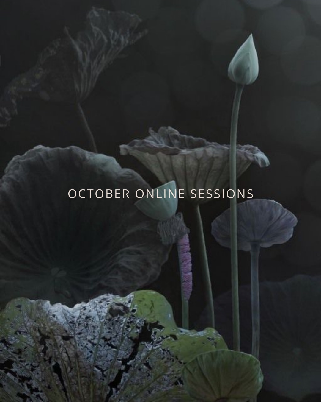 OCTOBER ONLINE SESSIONS