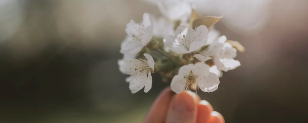 VĂ
RDETOX đ± Meditation & grupphealing - Online