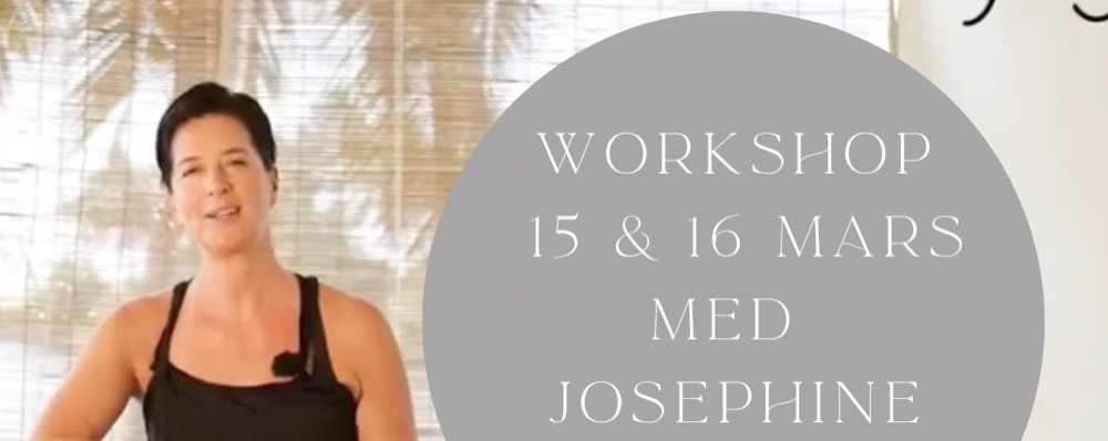 Workshop 15 & 16 mars 2025 med Josephine Selander!