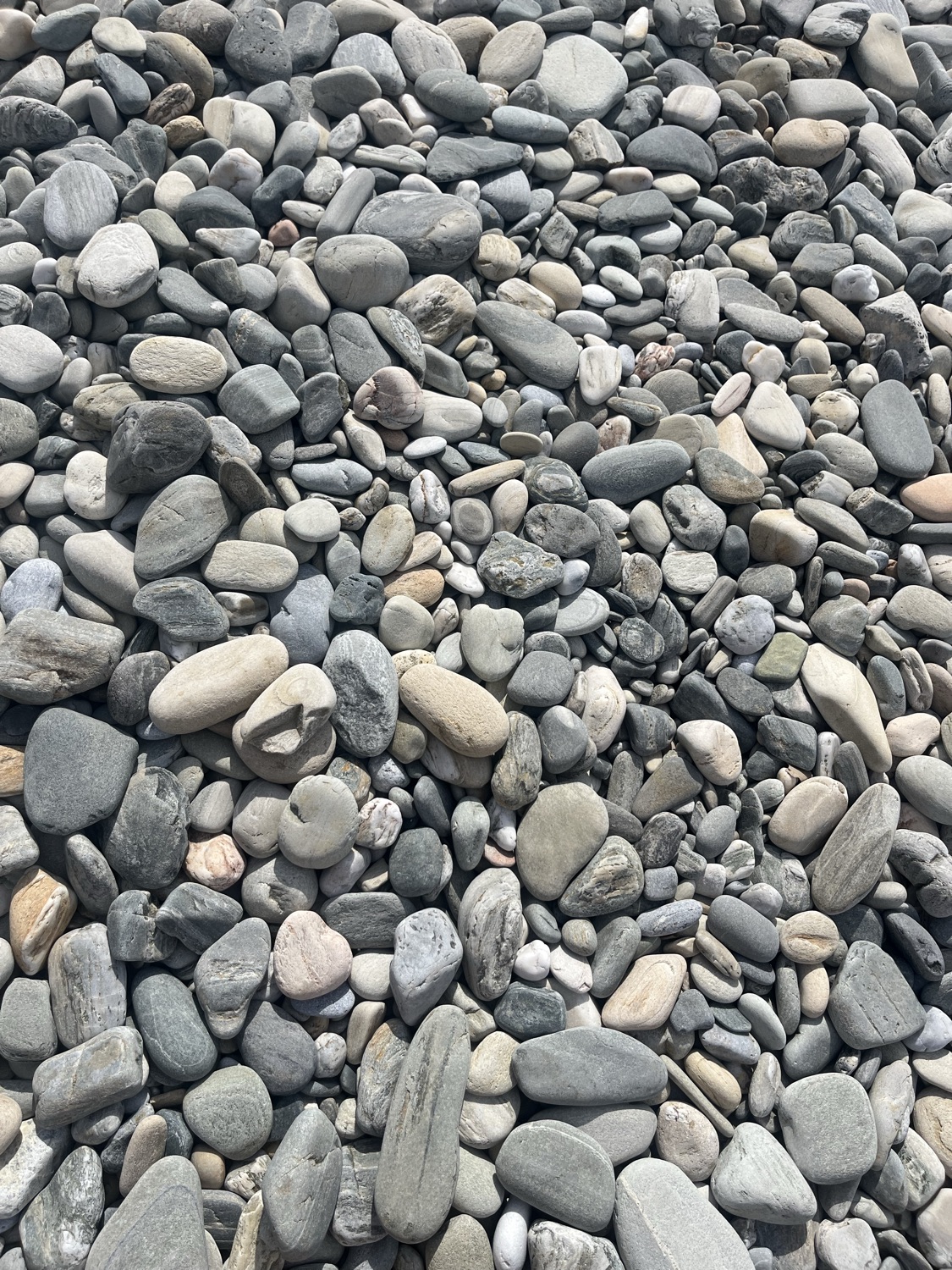 Spinal Energetics ONLINE - 3 ggr