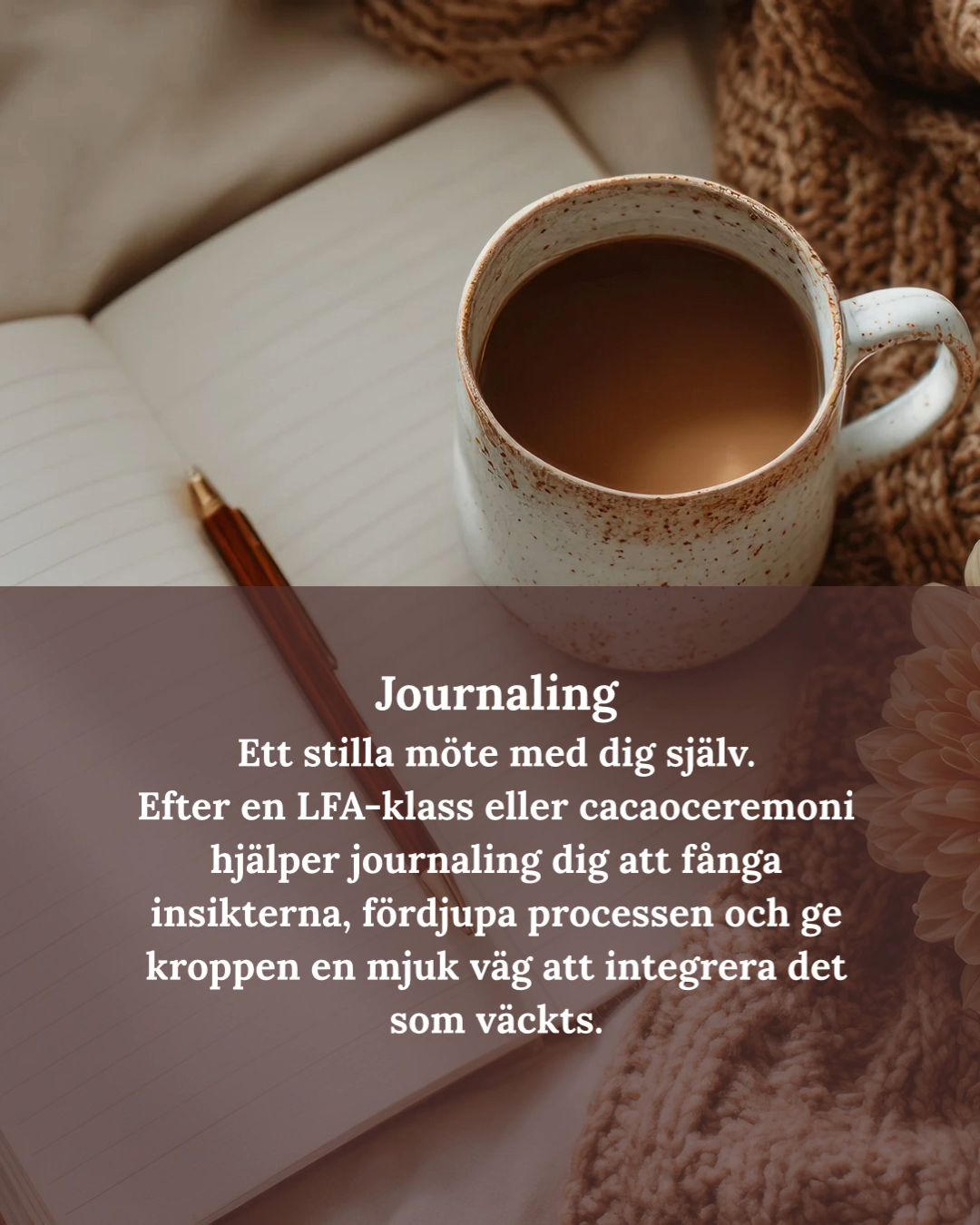 FALKENBERG~ kakao cermoni ~ Life Force Activation