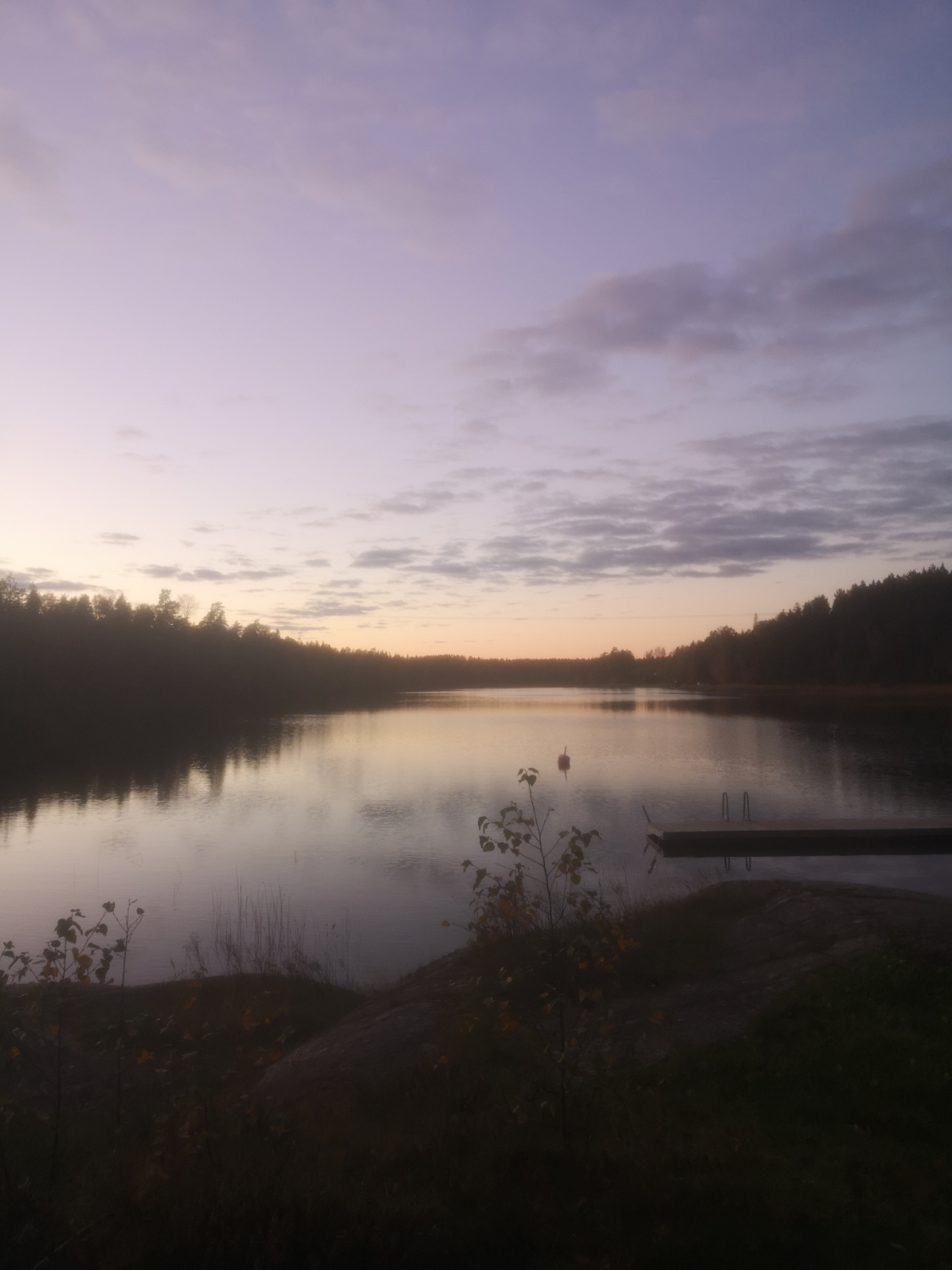 Medial vägledning på telefon/ videosamtal 30 min