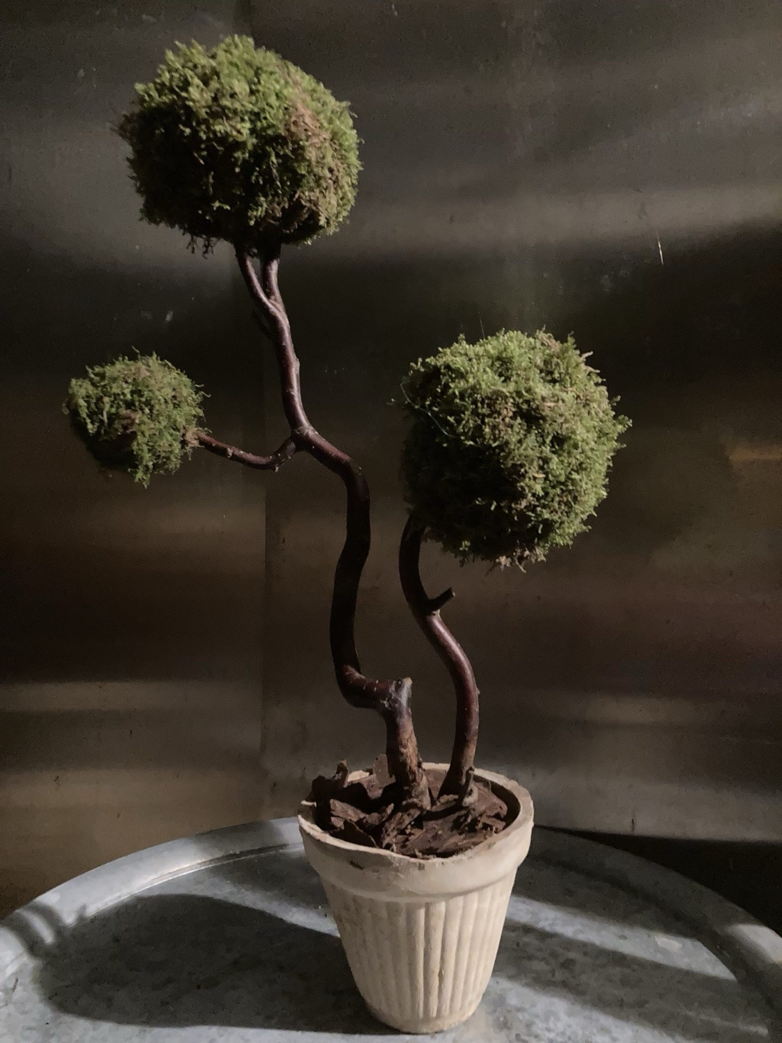 Skapa ”träd” med mossbollar