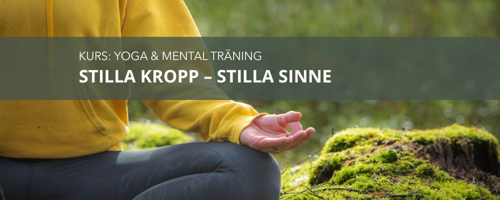 Stilla kropp - Stilla sinne