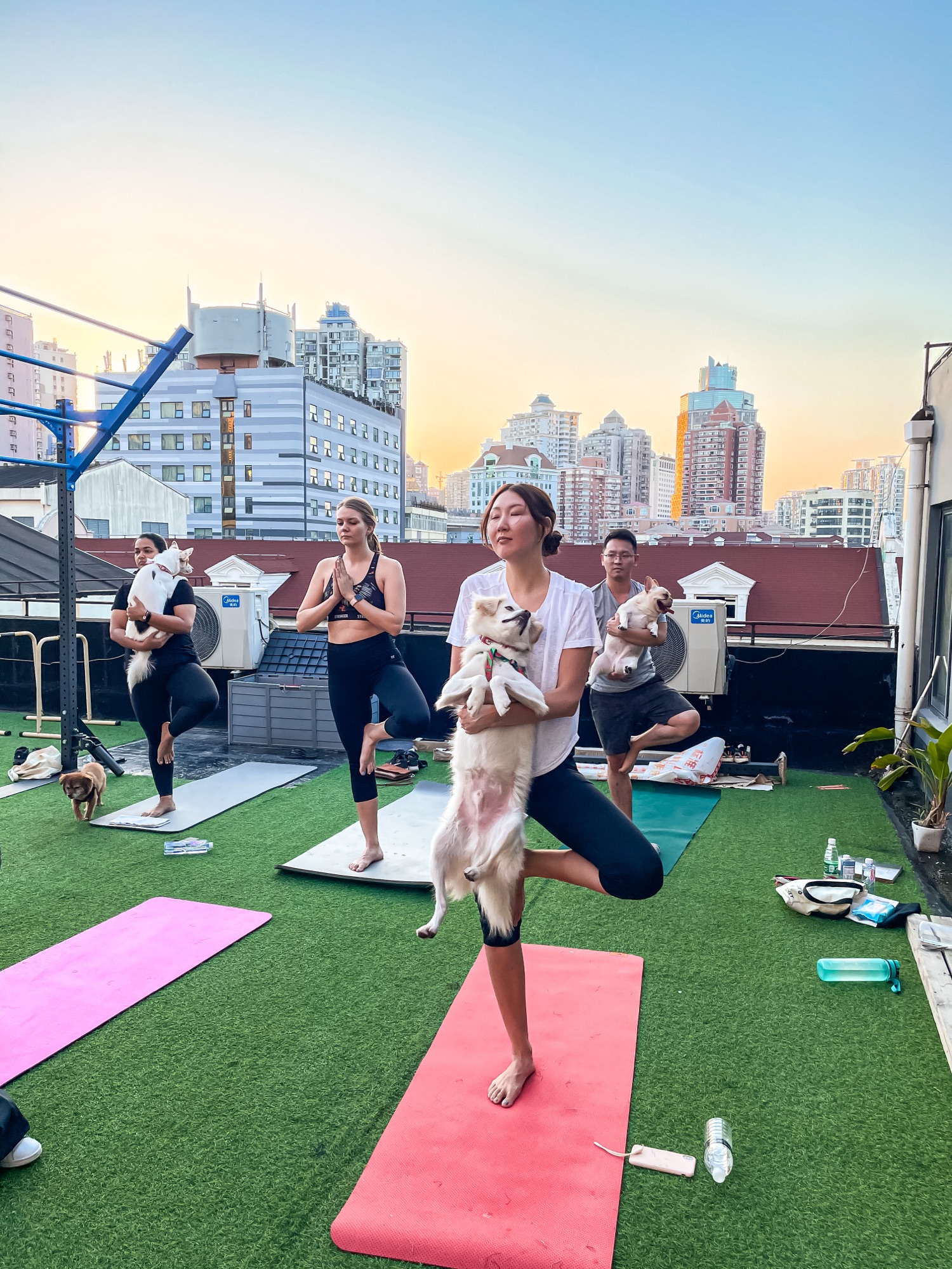 LOMI DOGA - Yoga with your Dog 🐶