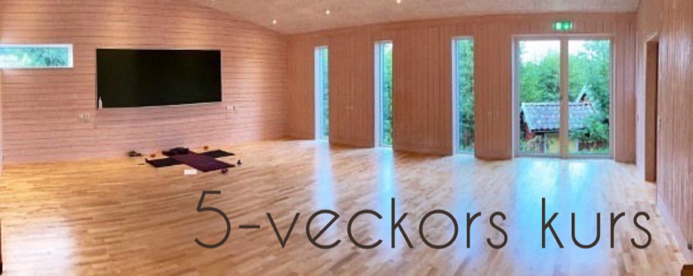 Yogakurs 2 - 5 tillfällen