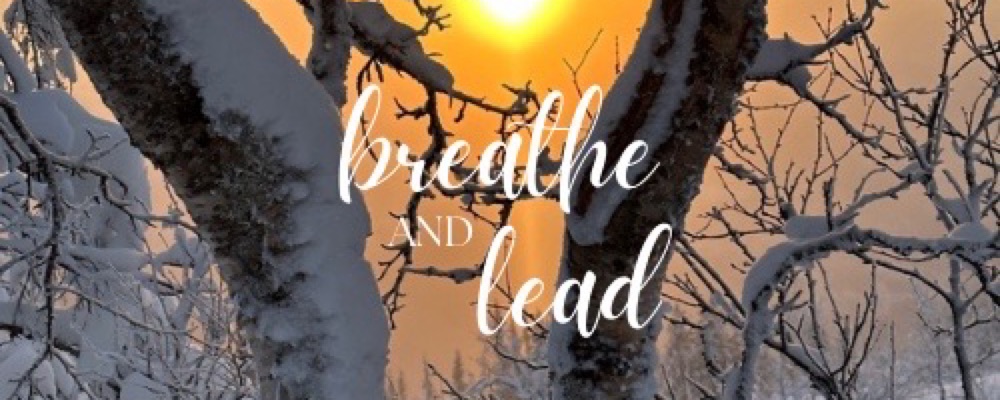 Breathe & Lead (Breathwork)