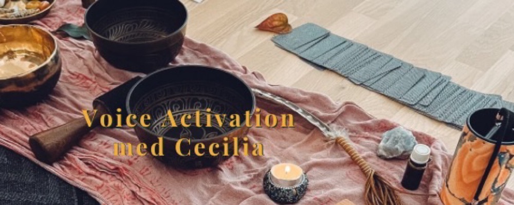 Voice Activation med Cecilia