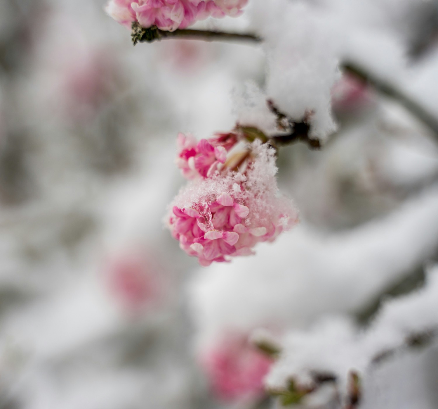 Uppfriskande ansiktsmassage