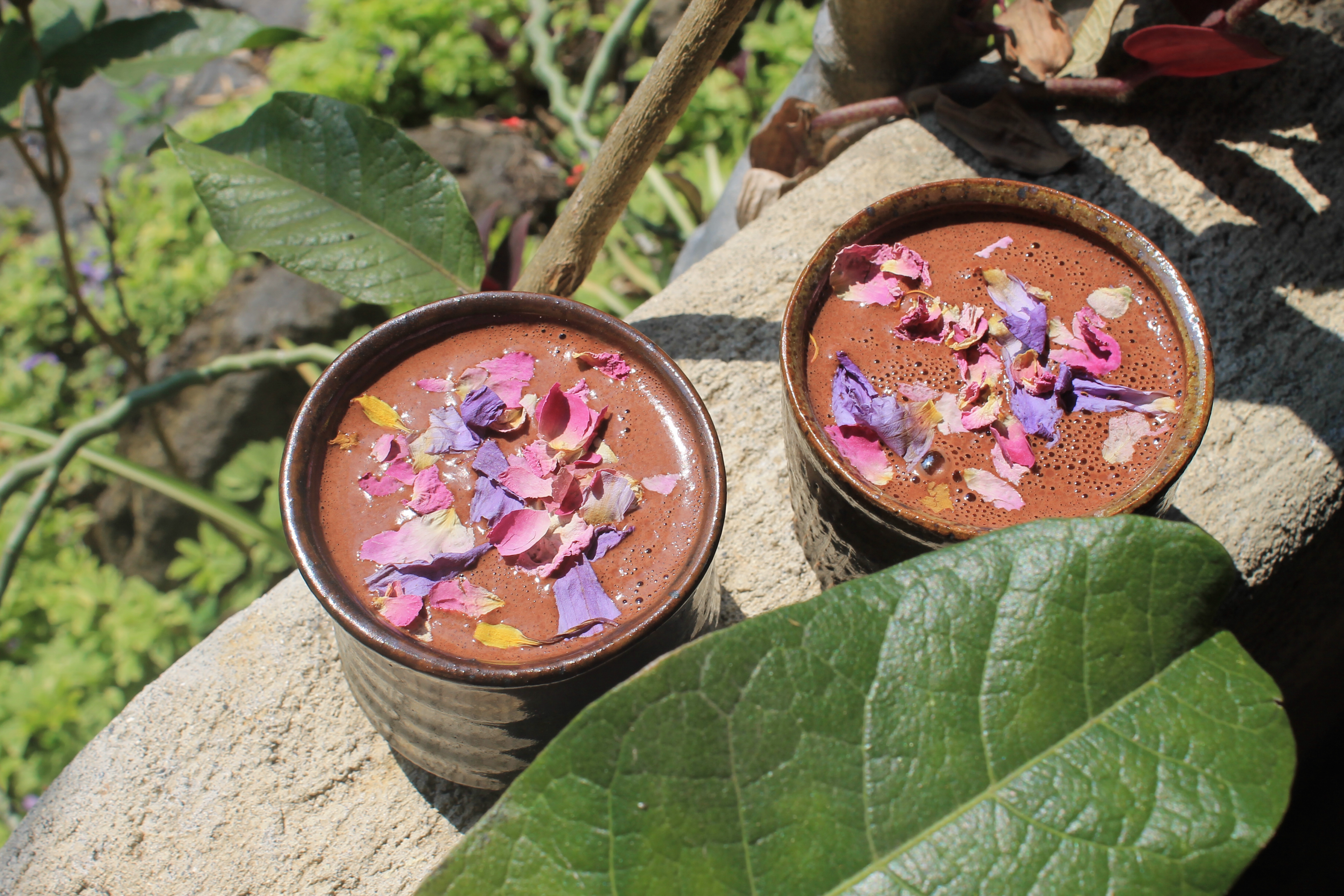 Rejuvenating Day Retreat