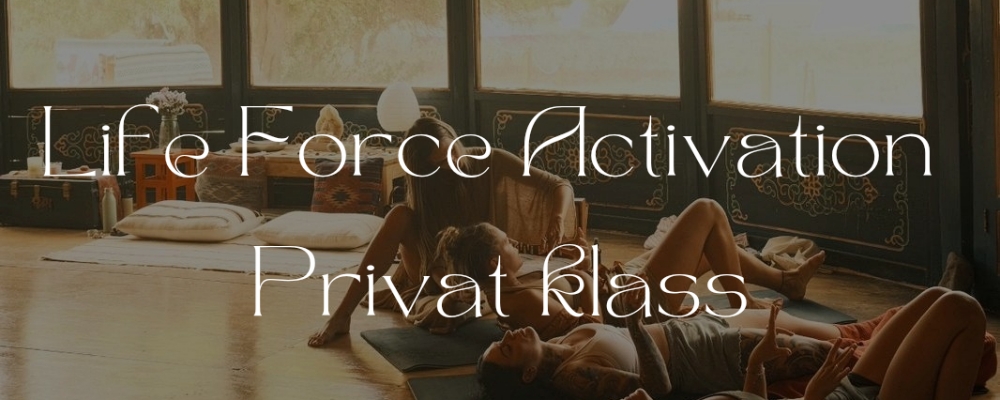 Life Force Activation, privat klass, 60 minuter