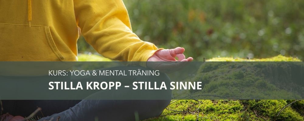 Stilla kropp - Stilla sinne