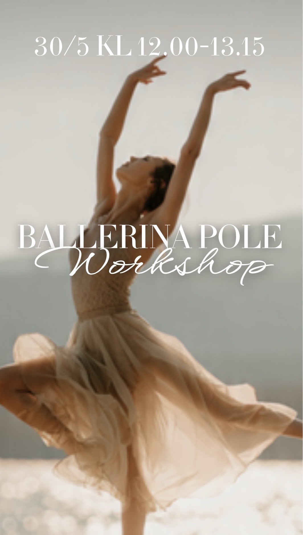 BALLERINA POLE WORKSHOP ✨