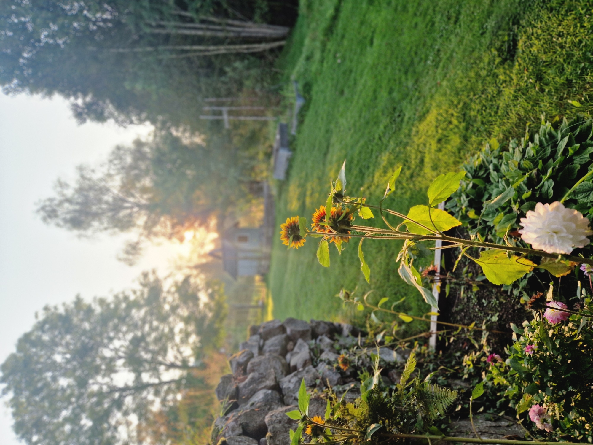 The Feminine Journaling Retreat