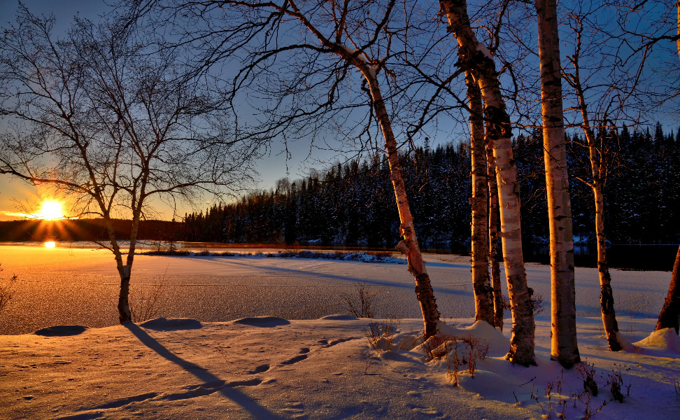 Skogsbad genom Årstiderna