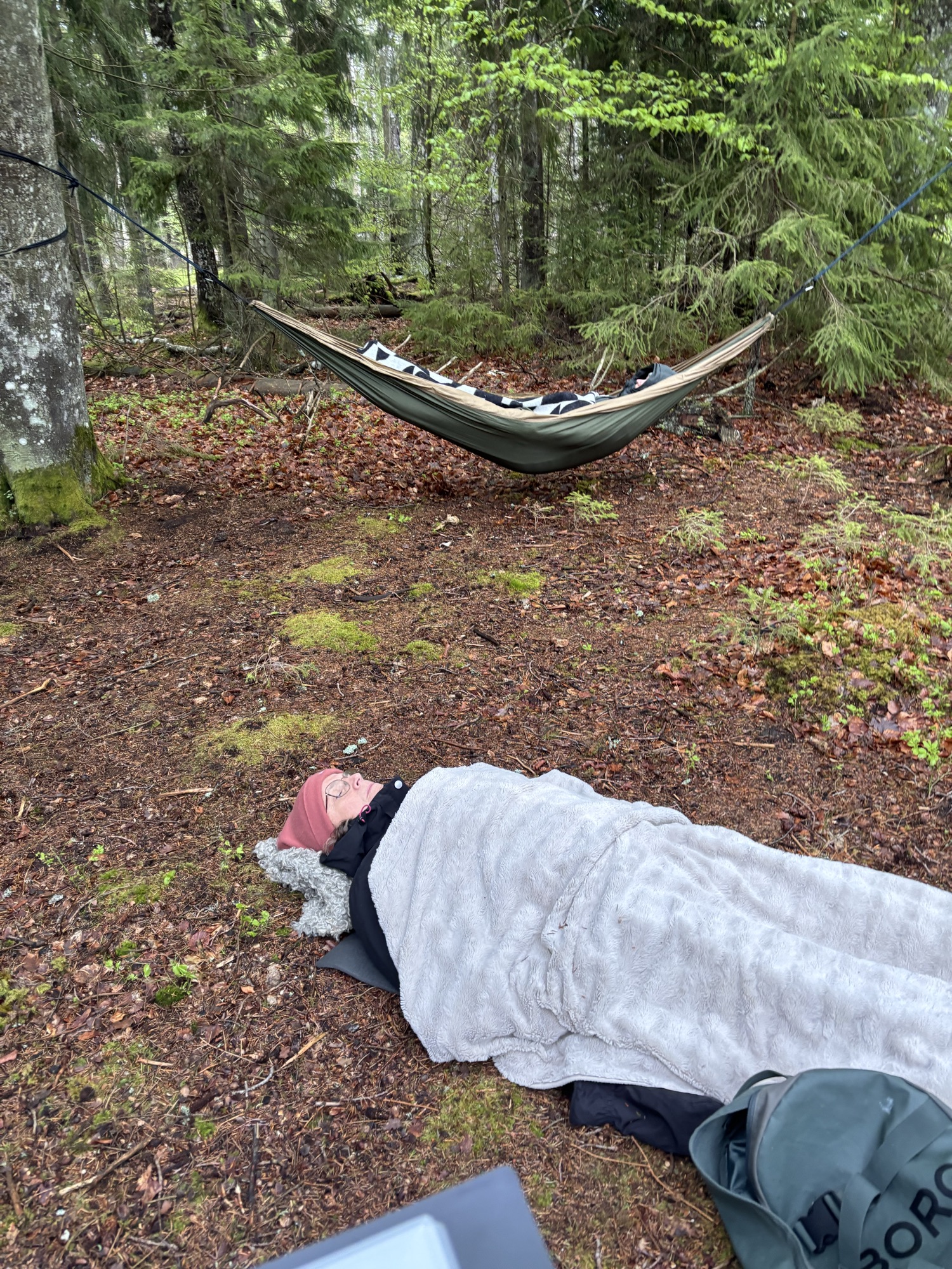 Skogsbad genom Årstiderna