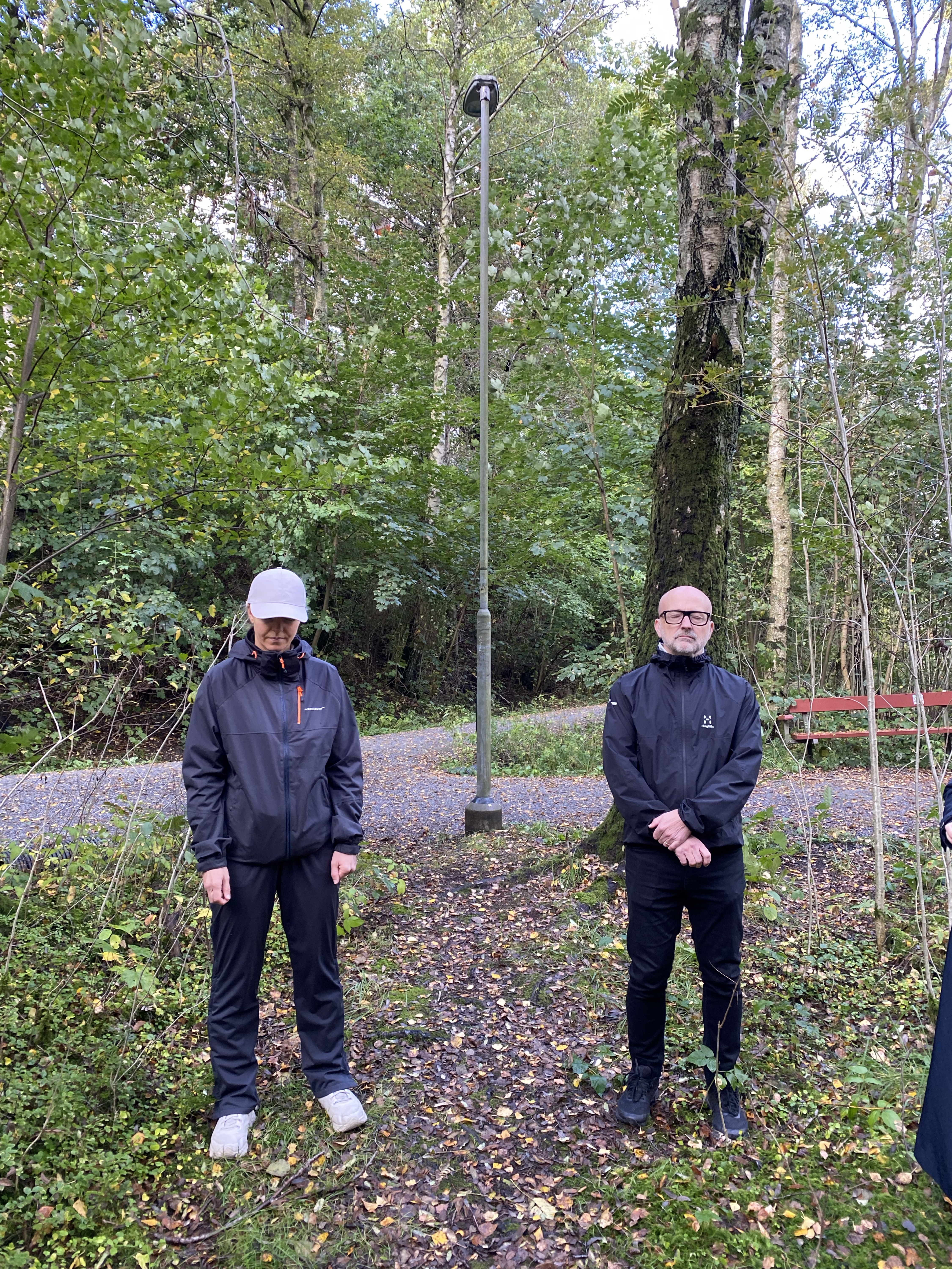 Skogsbad-gående meditation