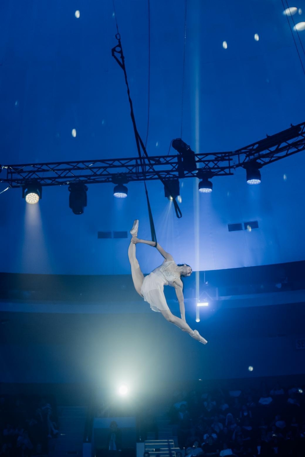 Aerial Straps & Hoop with Yuchan