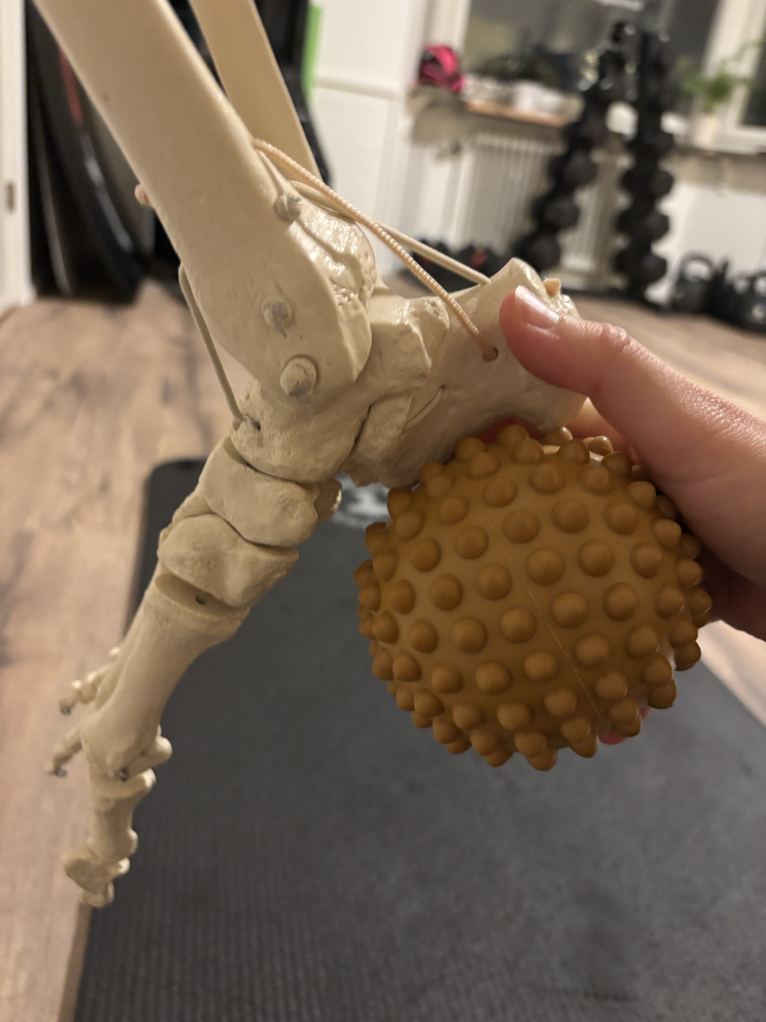 Fascia Movement Training Intro