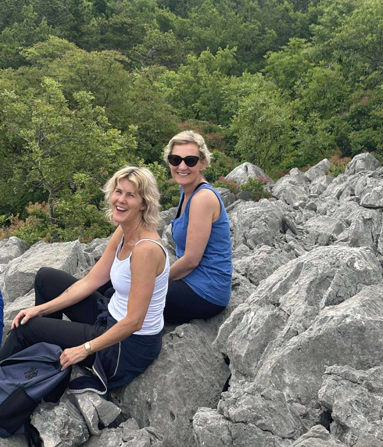 Energidag 22 november (bokningsavgift)