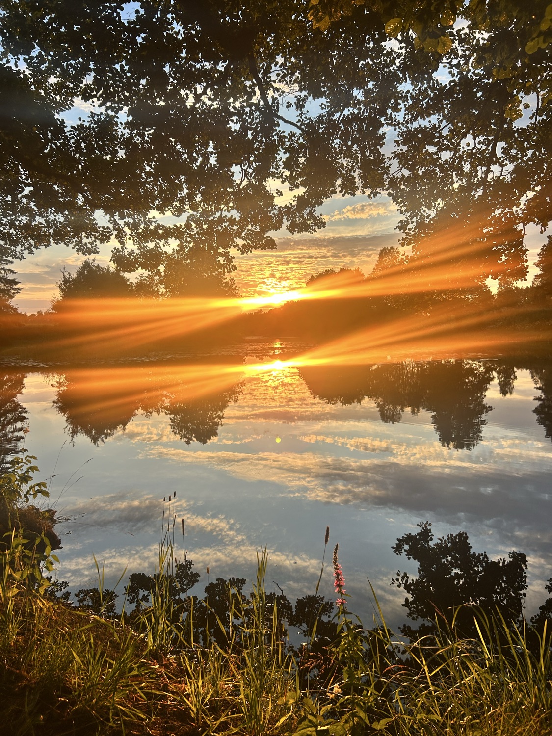 Andlig vägledning med healing