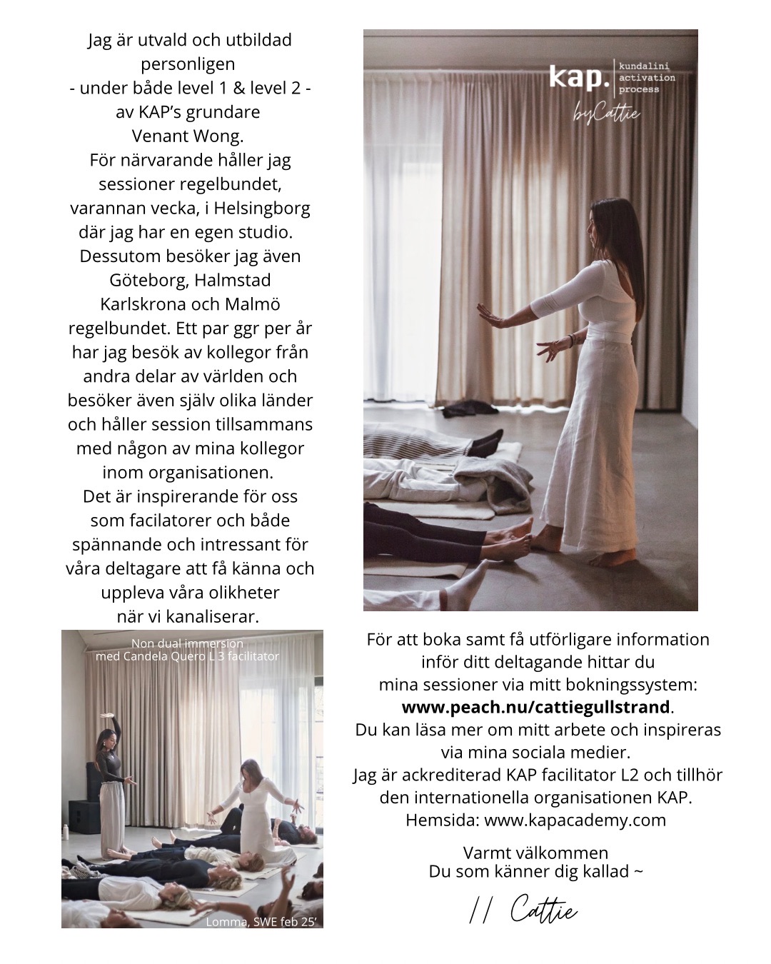 KAP ~ HALMSTAD