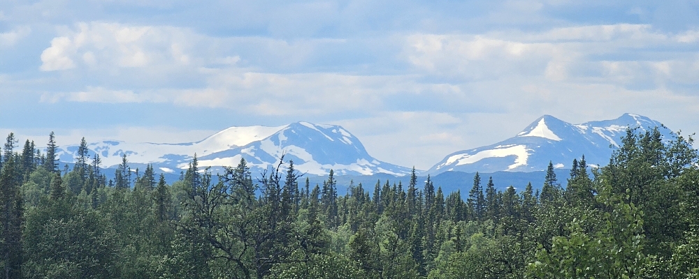 🌿 Life Force Activation – i Åre