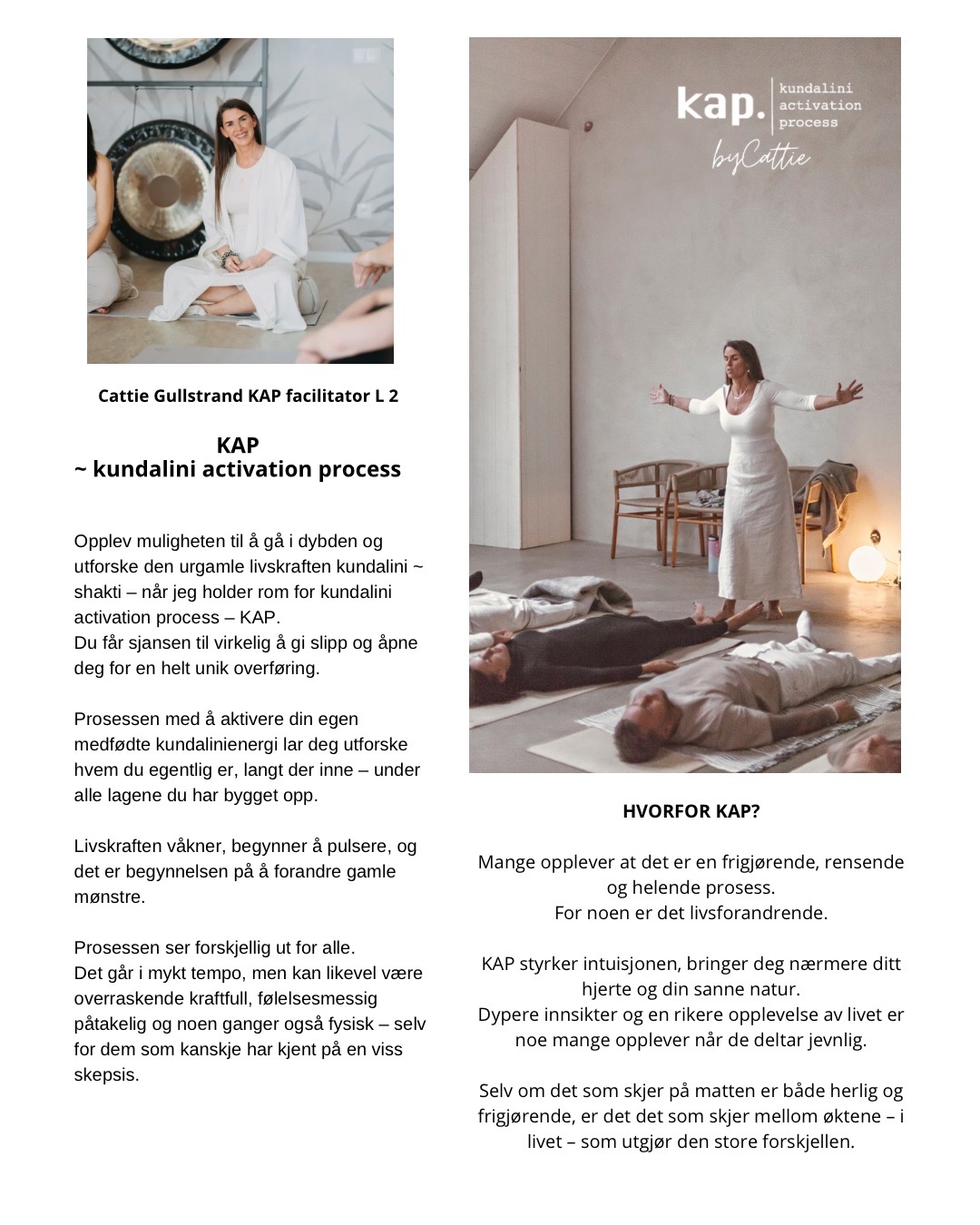 ONLINE KAP ~ transmission