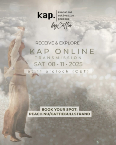 ONLINE KAP ~ transmission