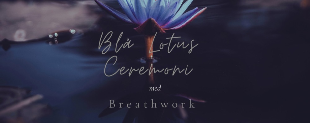 Blå Lotus ceremoni med Breathwork - Kalcit Östermalm