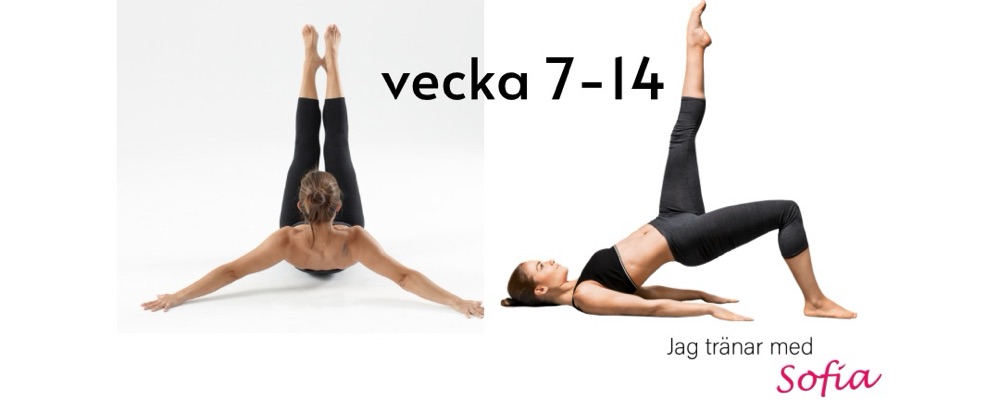 Puls & Pilates vecka 7-14