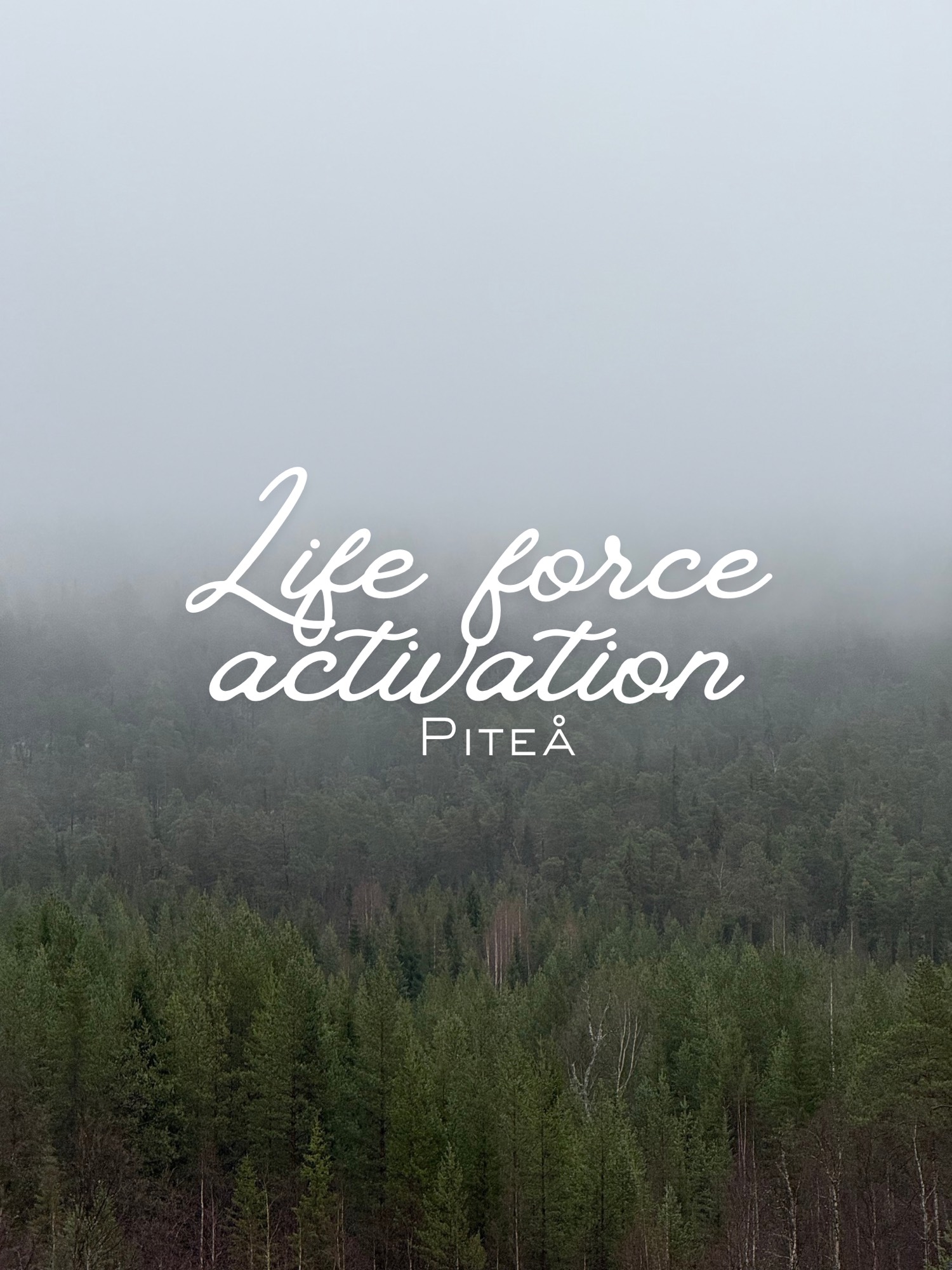 Life force activation Piteå