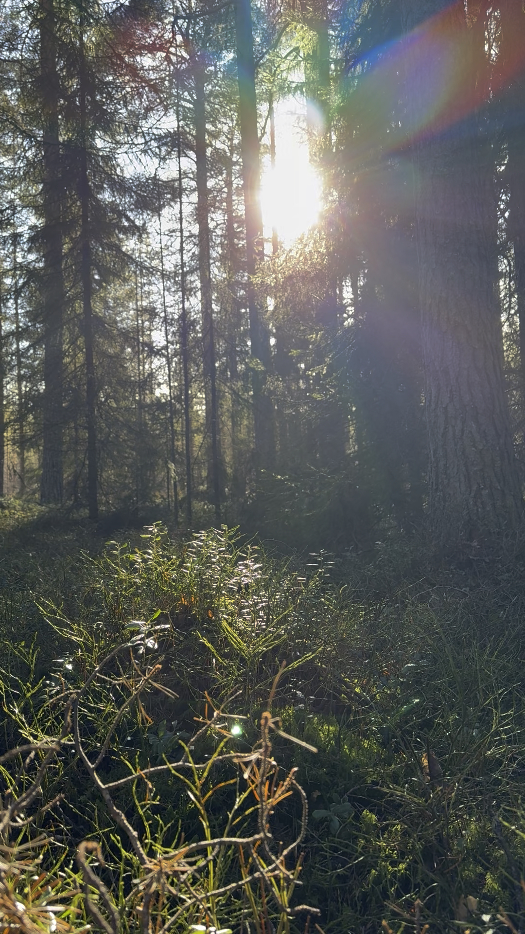 Remembering - för kvinnor