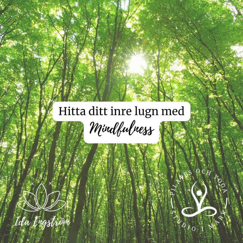 Hitta ditt inre lugn med Mindfulness
