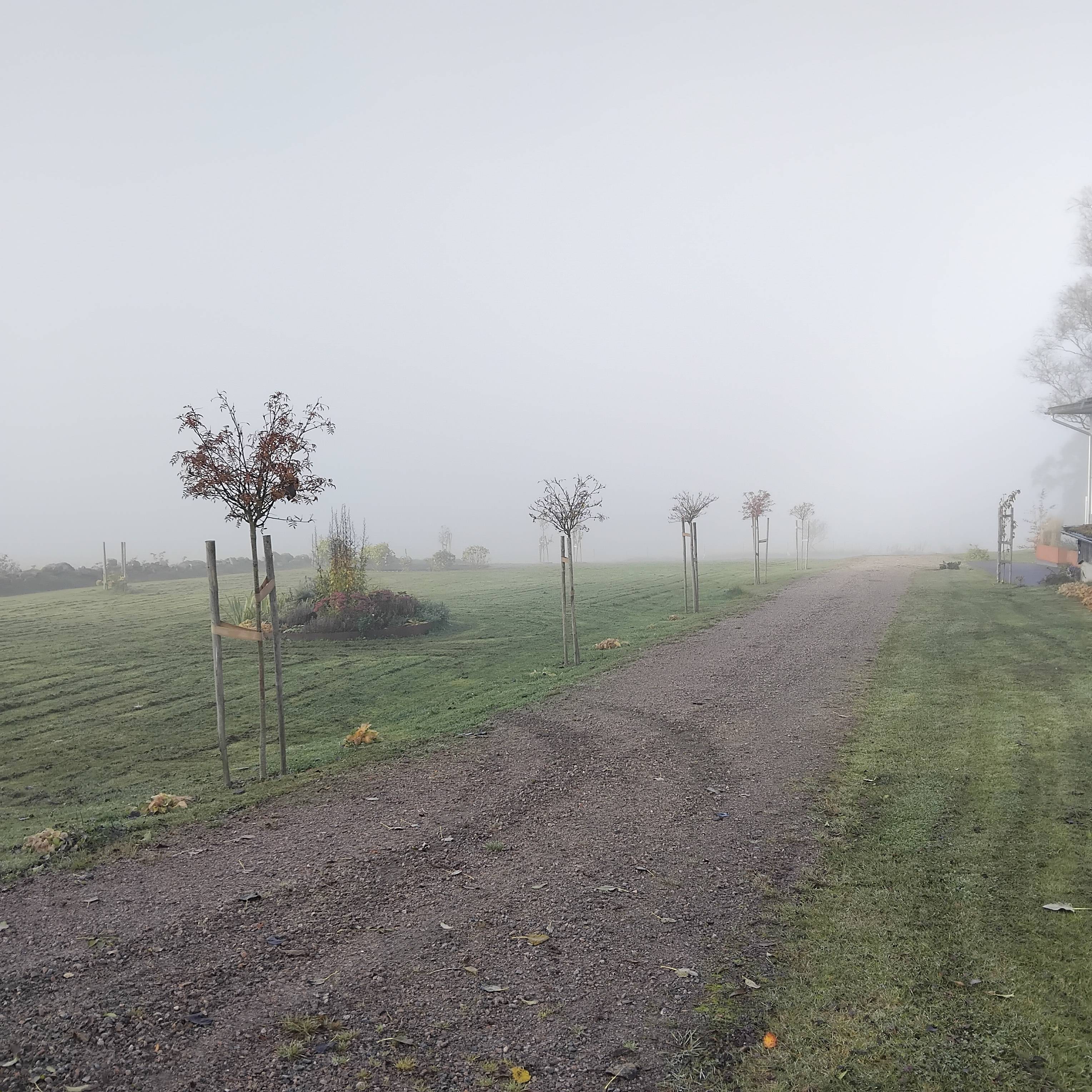 Hitta ditt inre lugn med Mindfulness