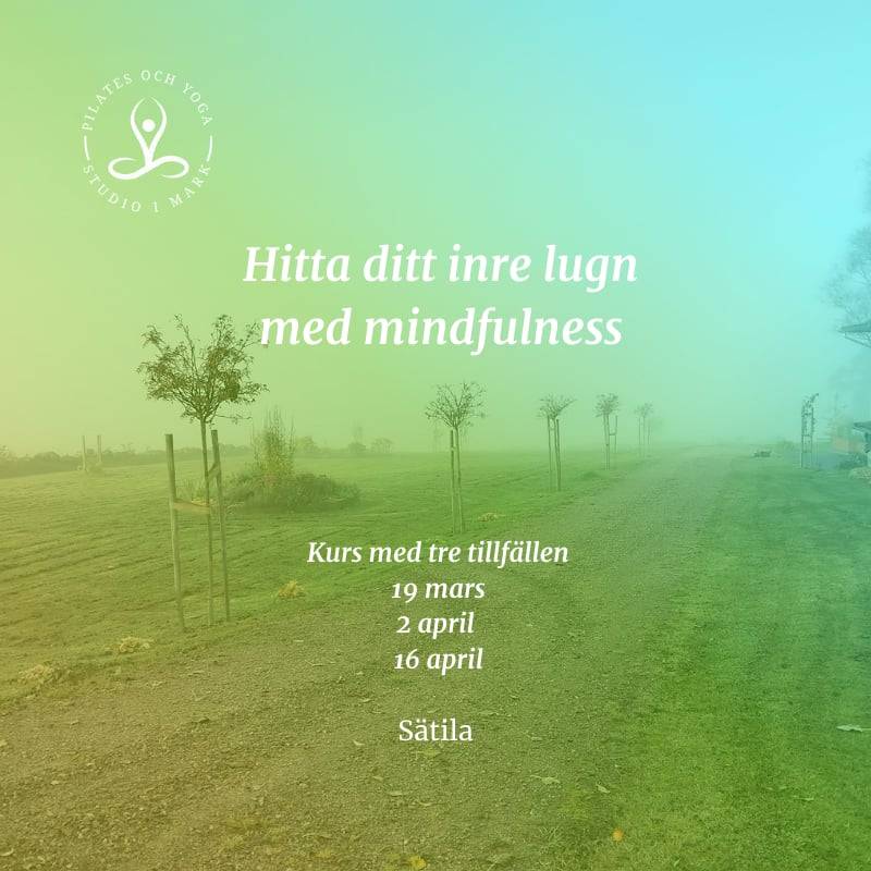 Hitta ditt inre lugn med Mindfulness